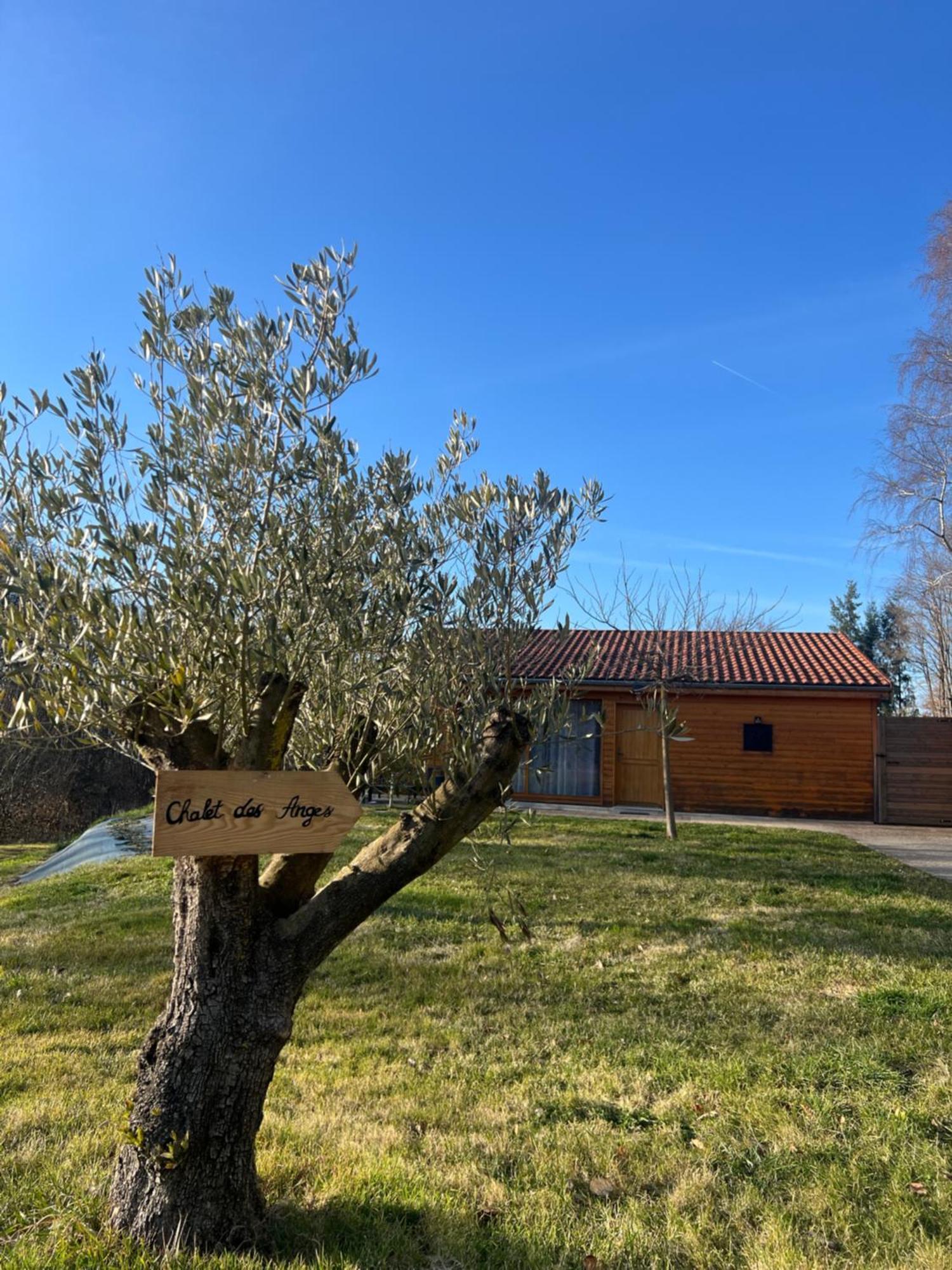 Chalet Des Anges Youx المظهر الخارجي الصورة